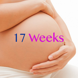 Dr Miriam Stoppard talks about Pregnancy at 17 weeks