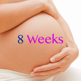 Dr Miriam Stoppard talks about Pregnancy at 8 weeks